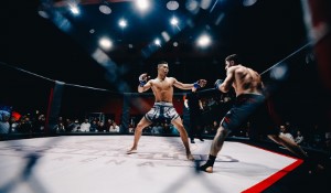 June Recap of UFC Events